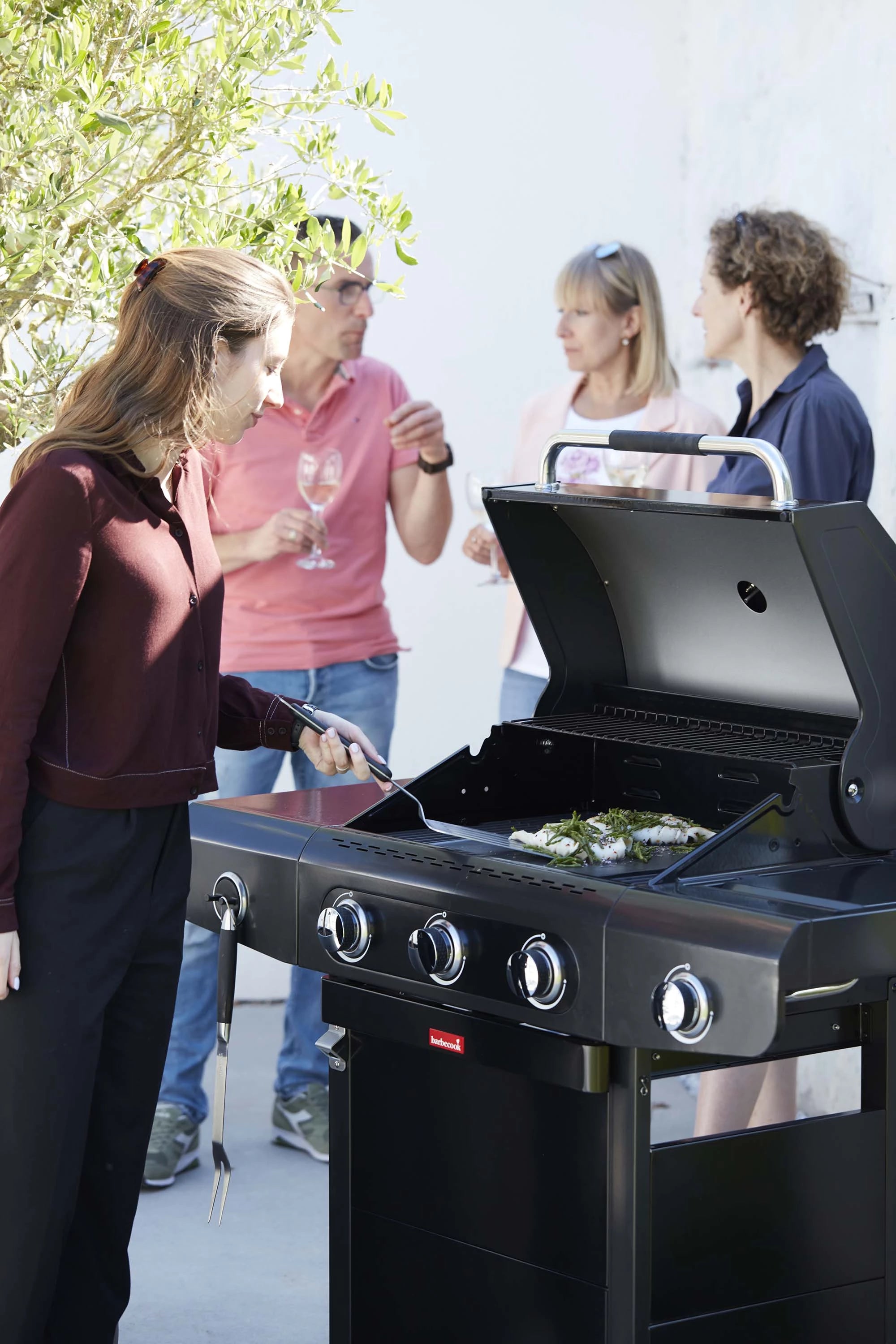 Gas BBQ – Barbecook