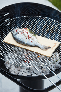Set van 2 rookplanken uit beukenhout