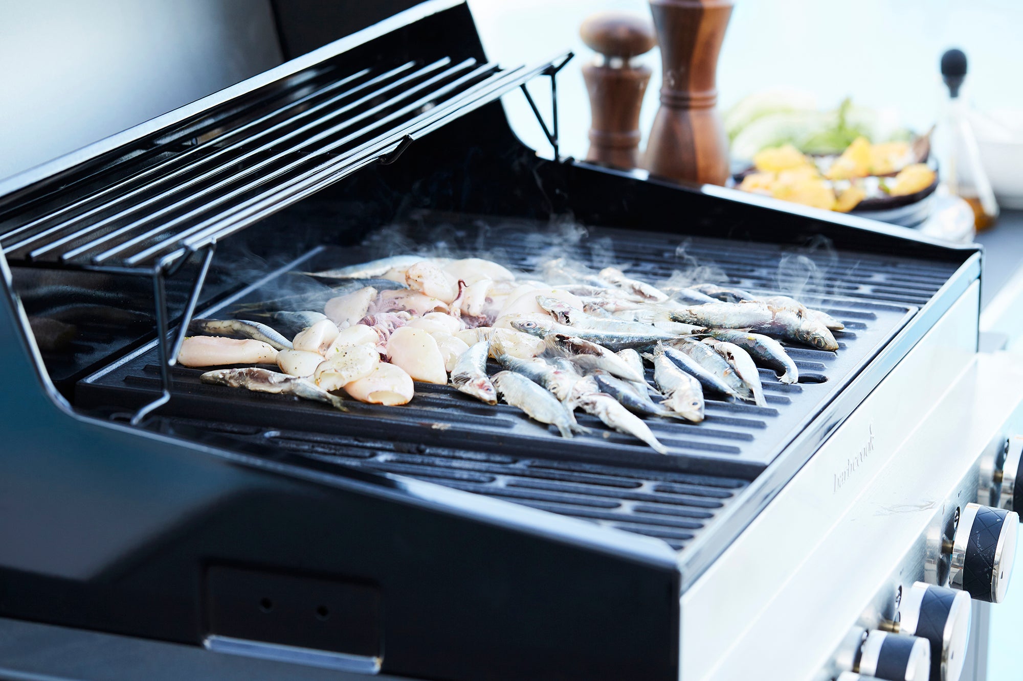 Gas BBQ Barbecook